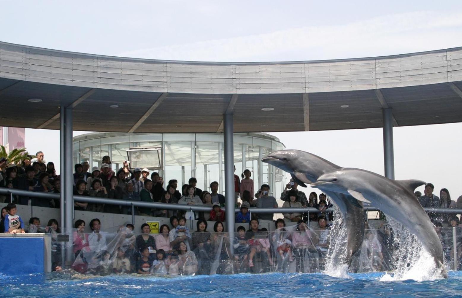 Hotel Housenkaku Beppu Ngoại thất bức ảnh